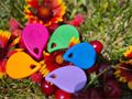 IMG-20250620-WA0007